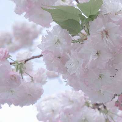 兽设冰川场景绘制兽圈社群